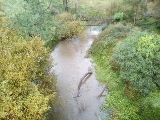 View south from bridge