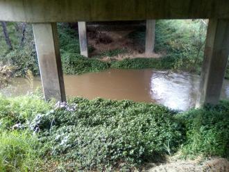 View across creek looking east