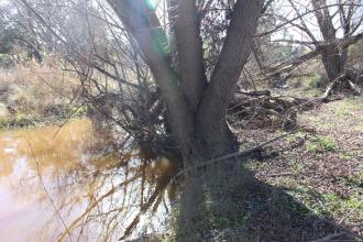 Upstream