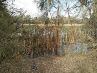 Kings Billabong, Mildura