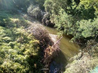 View above bridge looking north