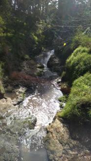 Looking downstream