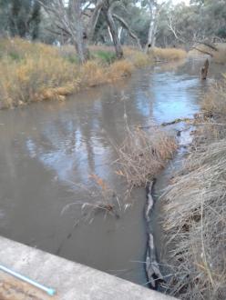 looking east - upstream