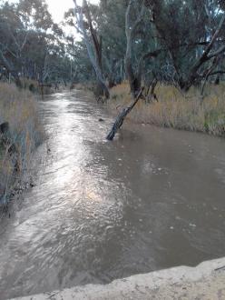 Looking west - downstream