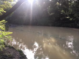 Looking upstream from collection point