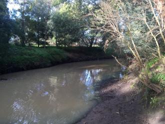 Looking downstream from collection point