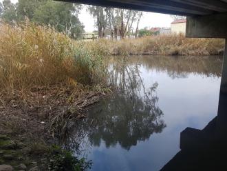 looking upstream (South) from site.