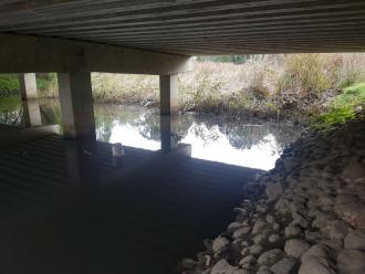 Looking downstream (North) from site.