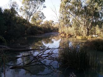 Sandilong Creek, Mildura