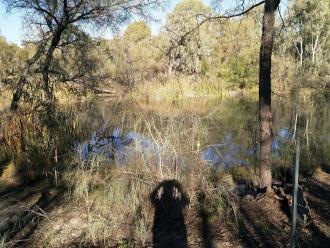 Sandilong Creek, Riverside Golf Club, Mildura