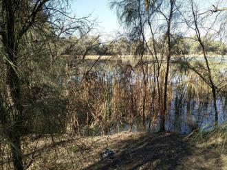 Leevee Bank, Kings Billabong, Mildura