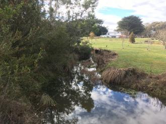 Five Mile Creek at Reserve Upstream