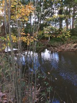 Five Mile Creek Childrens' Park Upstream