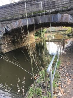 Five Mile Creek Childrens' Park Downstream