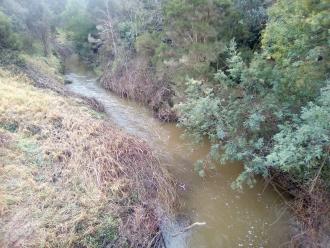 View looking north from bridge