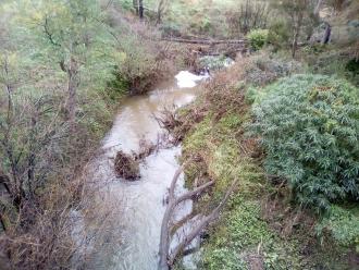 View looking south from bridge