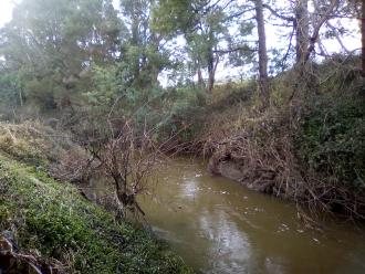 View looking north from under bridge