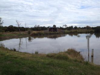 Quiet on the wetlands
