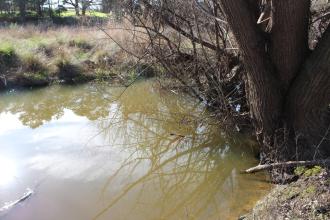 Upstream