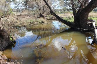 Down stream