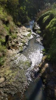 Looking downstream