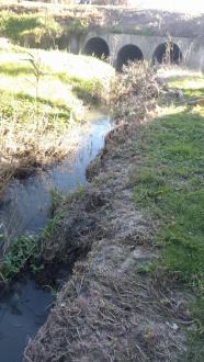 Looking downstream