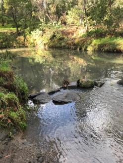 You can see the water in the creek beyond the rocks looking a bit milky.