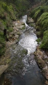 Looking downstream