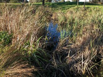 secret pond - new point