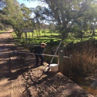 Collecting water sample