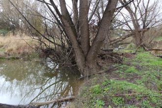 Upstream