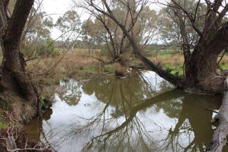 Down stream