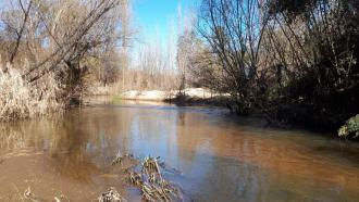 Looking upstream