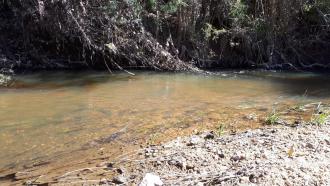 Across the stream