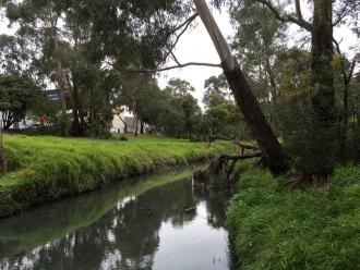 looking upstream