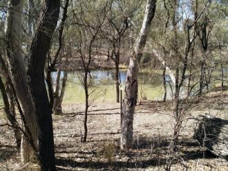 Site