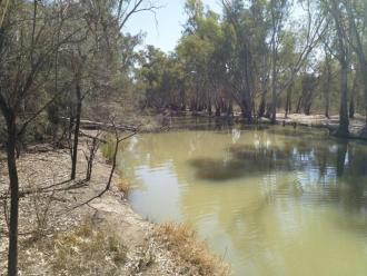 Downstream