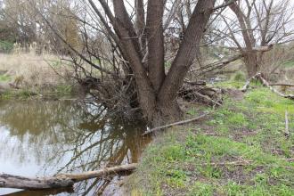 Upstream