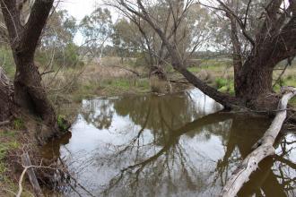 Down stream