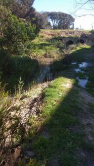 looking downstream