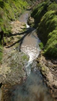 Looking downstream