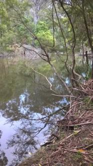 Tyers River 5.30pm