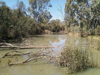 Sandilong Creek, Riverside Golf Club, Mildura