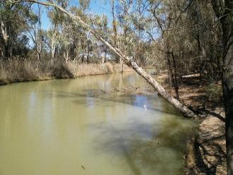 Upstream, Murray River near Sandilong Creek, Riverside Golf Club, Mildura