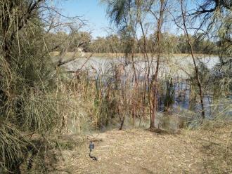 Kings Billabong, Mildura