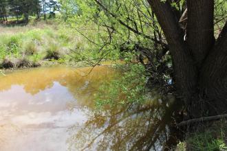 Upstream