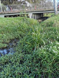 downstream