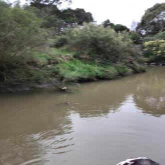 Collected samples for testing in the afternoon at 1300 ... downstream from test site.