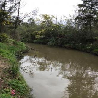 Creek was flowing faster and fuller ... upstream from testing site