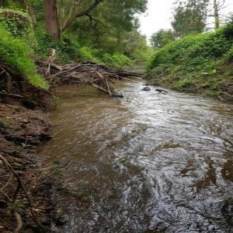 Carlisle River facing west